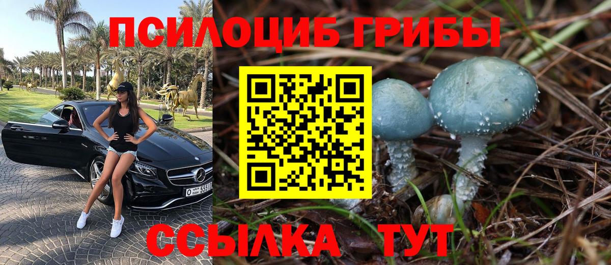 Псилоцибиновые грибы ЛСД  Псилоцибиновые грибы мицелий  Заволжье  Вход с VPN 